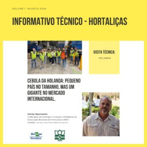 Informativo Técnico – Hortaliças