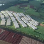 WhatsApp Image 2026-03-04 at 15.55.45Resultado