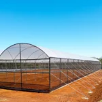 Imagem-green-house_4Resultado