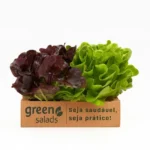 Green-Saladas-imagem_5Resultado
