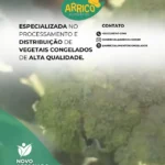 2Resultado