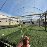 AgroCultivo_3