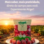 atigel_1